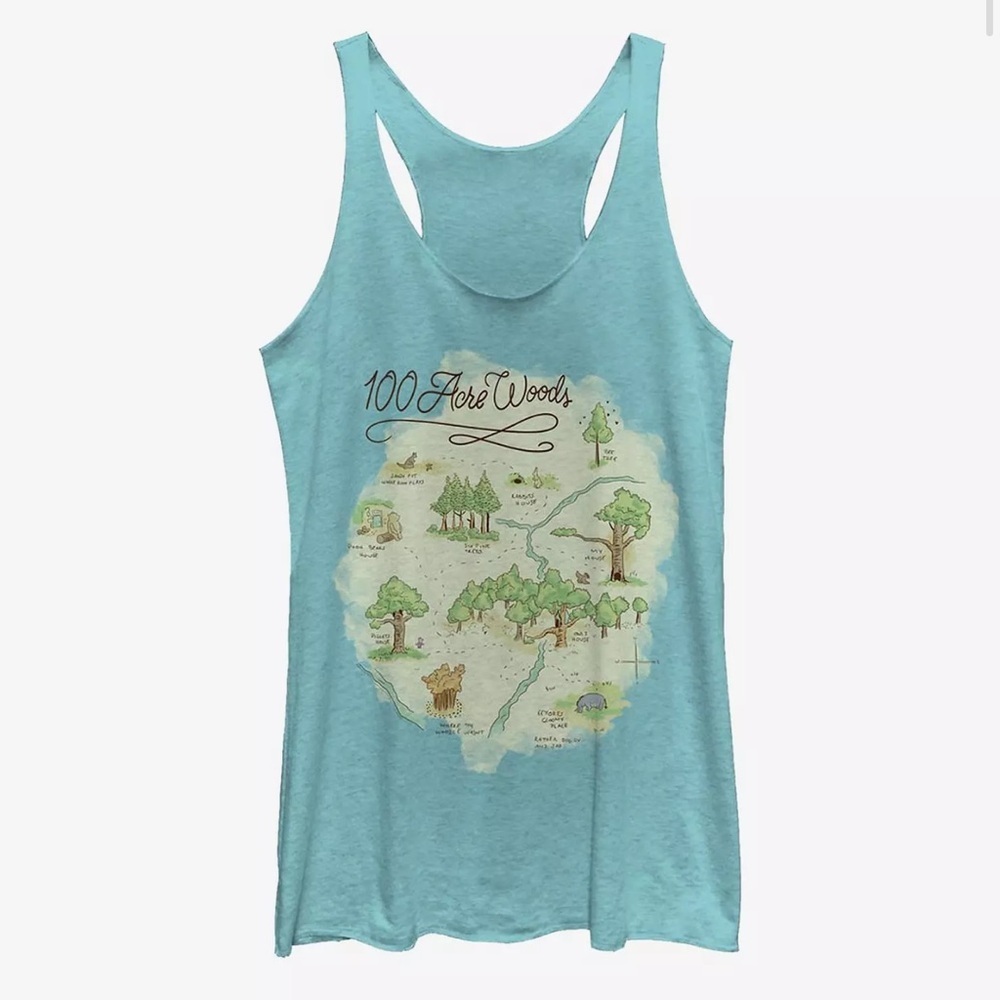 NWT Box Lunch Disney Winnie The Pooh Hundred Acre Woods Map Tank